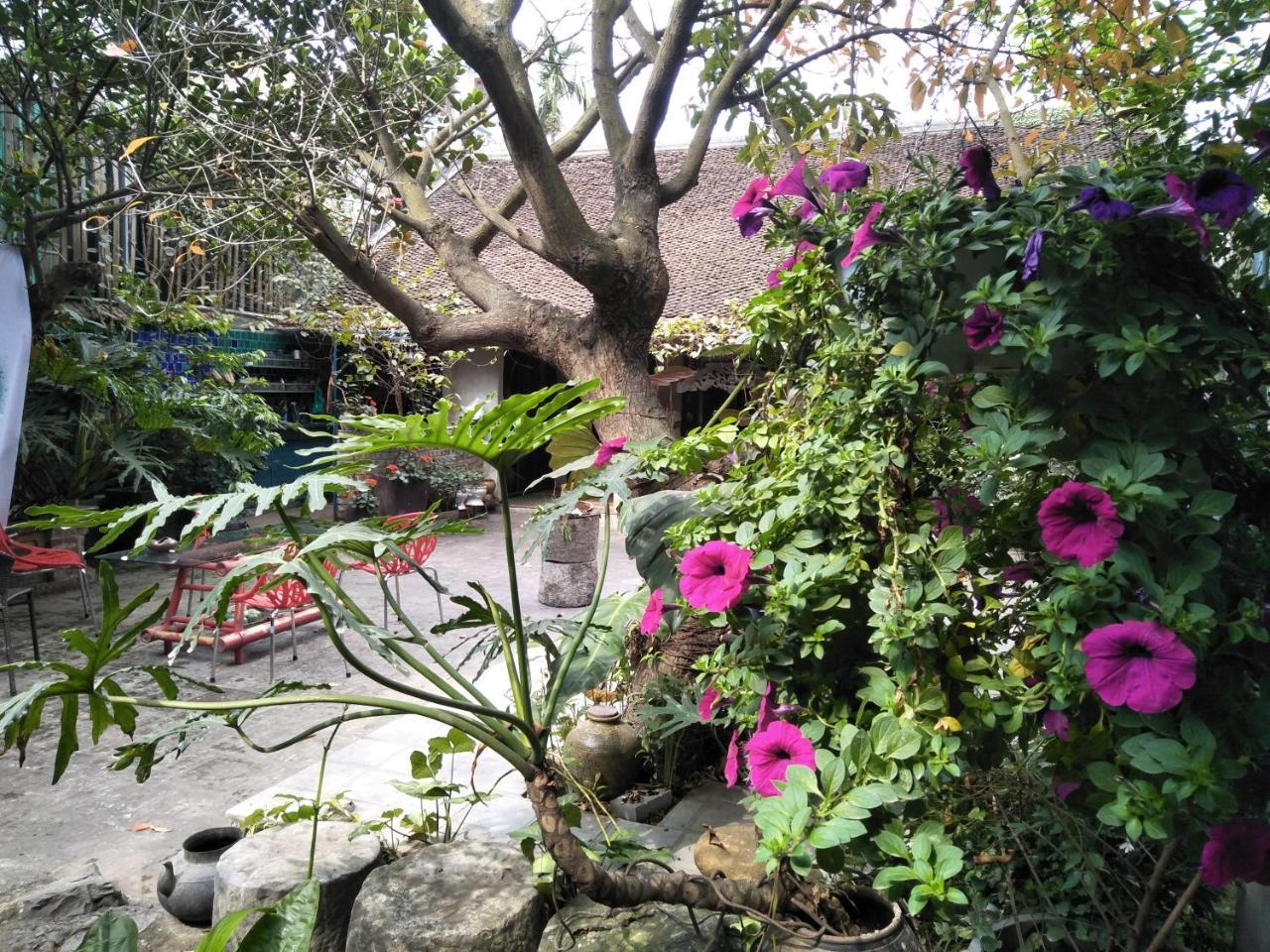 Polygon Art And Homestay Hanói Exterior foto