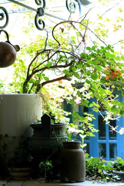 Polygon Art And Homestay Hanói Exterior foto